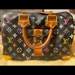 Louis Vuitton multicolor speedy30